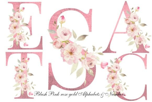 Download Blush Pink Rose Floral Alphabet Clipart - Rose Collection